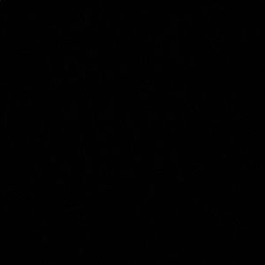 Meet your Posher, Avery